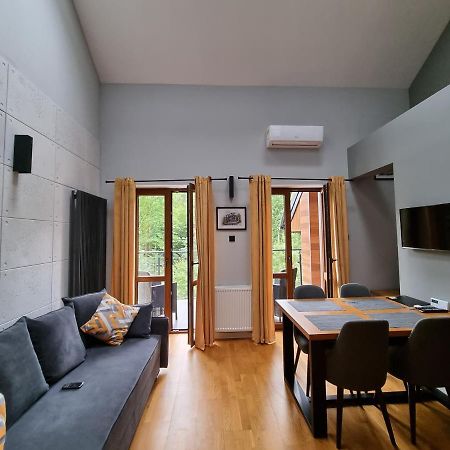 Apartament Dwupoziomowy Z Klimatyzacja Apartment Krynica Zdroj Luaran gambar