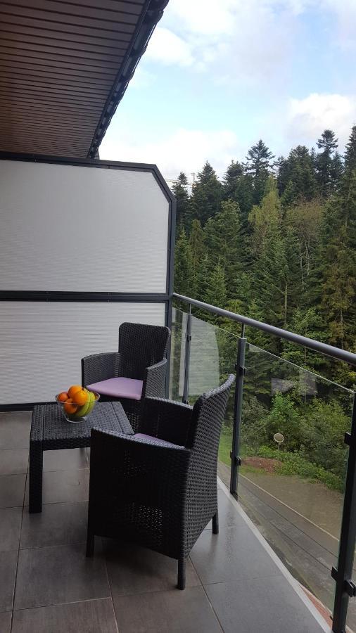 Apartament Dwupoziomowy Z Klimatyzacja Apartment Krynica Zdroj Luaran gambar