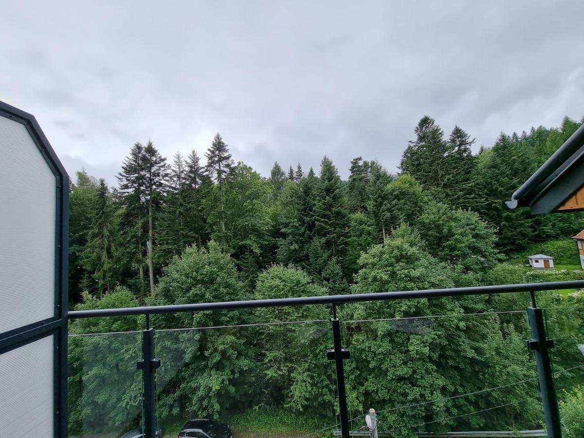 Apartament Dwupoziomowy Z Klimatyzacja Apartment Krynica Zdroj Luaran gambar